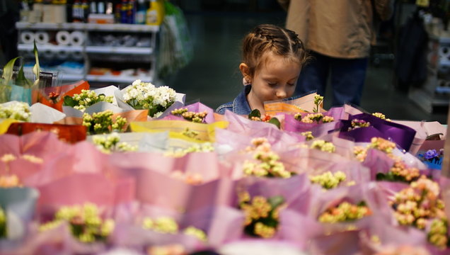 Portrait of cute little girl choosing flowers in supermarket