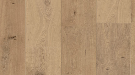 Fototapeta premium Wood texture. Oak close up texture background. Wooden floor or table with natural pattern