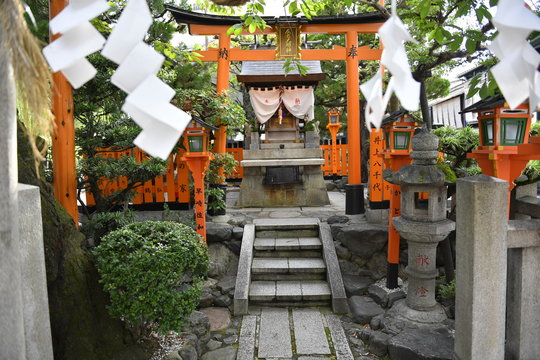 Omikuji (Mikuji) fortune papers strips at Japanese Shrine (Shinto) 