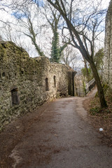 Fototapeta na wymiar Hiking path and Castle Ruin at the Drachenfels in the Siebengebirge mountains, North Rhine-Westphalia, Germany
