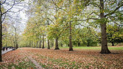 autumn in the park london