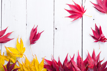 multi colored autumn leaves on white wooden table background