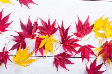 Fototapeta na wymiar multi colored autumn leaves on white wooden table background