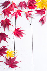 multi colored autumn leaves on white wooden table background