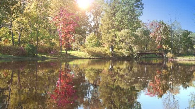 Sunny day on the shore of a forest lake early autumn. Trees with green, yellow and red leaves reflect in the water. Leaves from trees fall into the pond