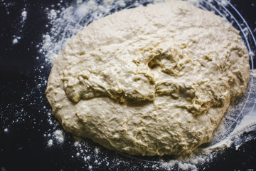 Risen or proved yeast dough for bread or pizza on a floured slate surface, photographed overhead with natural light (Selective Focus, Focus on the top of the dough)