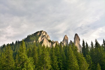 Rarau mountains in summer