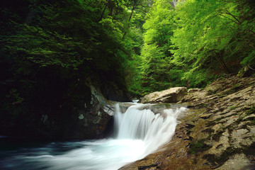 Obraz premium Mountain stream in Nishizawa Valley, Japan