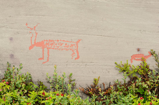Rock art in Alta Fjord, Norway. Ancient symbols, real drawing,  texture in stone. Red ocher paint. Human preys on animals deer.  Group of petroglyphs, dating from c. 4200 to 500 B.C.