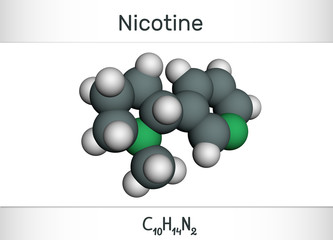 Nicotine molecule, is alkaloid , found in the nightshade family of plants. Molecule model