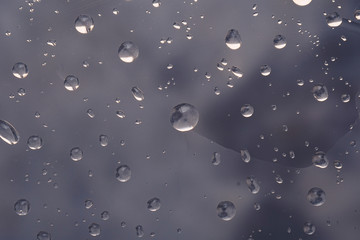Drops of water on a color background. Selective focus. Gray.