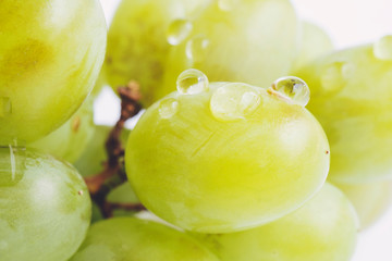 Juicy green grapes - macro shot of cut berries on white background
