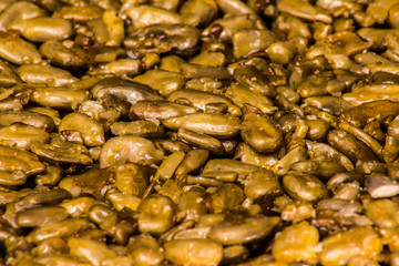 sugar glazed kozinak, sunflower seeds and peanuts in sugar glaze, oriental sweets close-up macro, brittles