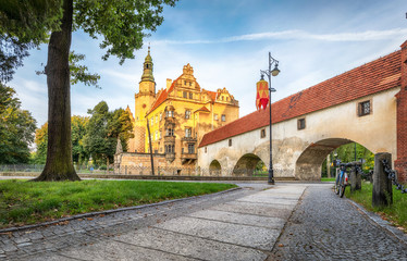 Fototapeta na wymiar View of Castle (Zamek olesnicki) in Olesnica, Lower Silesia, Poland (HDR image)