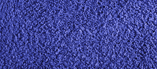 Texture of violet carpet. Panorama. View from above.