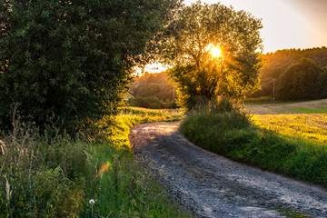 Leśna ścieżka © Piotr