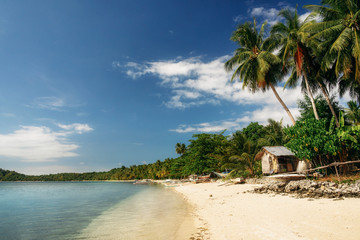 Sandy wild beach with turquoise water and green trees on tropical Cagsalay island, Philippines
