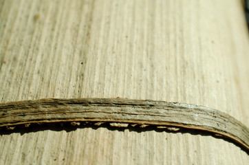 wood plank background