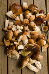 Mushrooms