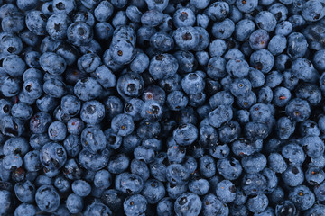Fresh blueberry background. Texture blueberry berries close up.