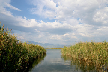 Boat tour on the dalyan river