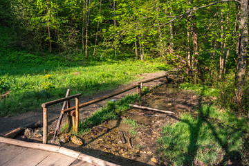 Leśna ścieżka © Piotr