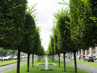 Budapest / Hungary - July 29 2019: Modern line of fountains in the public area of the center of the city with green trees and road