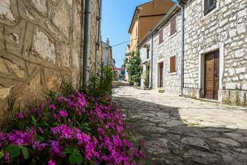 Fototapeta na wymiar A little cobbles street in a Mediterranean country. The houses on both sides are made of stone. Beautiful window shutters. There are violet flowers growing next to a house. Clear and sunny day.