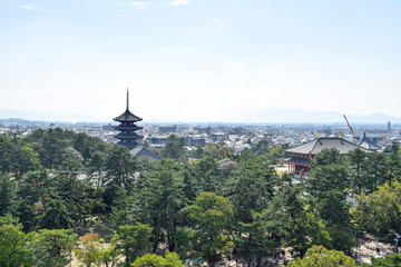 Fototapeta premium 奈良県 都市風景