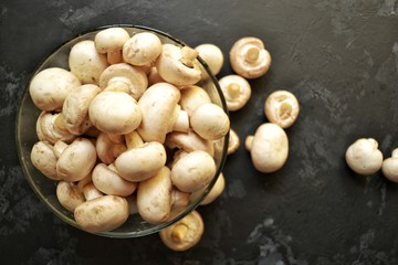 Mushrooms isolated on a dark background. Mushrooms on the table.