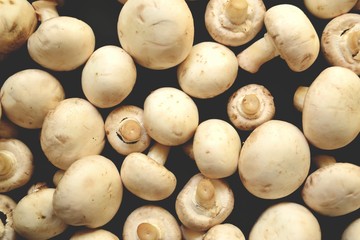 Mushrooms isolated on a dark background. Mushrooms on the table.