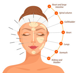Points and zones for acupuncture. Female face with needles and projection of internal organs on the face. Vector illustration. Infographics on the theme of non-traditional eastern medicine.