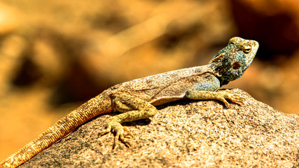 nature of the worlds best places