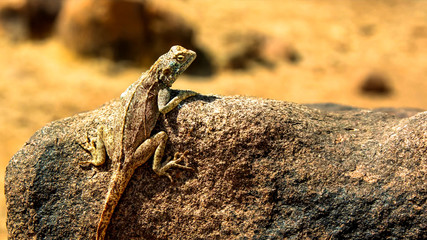 nature of the worlds best places