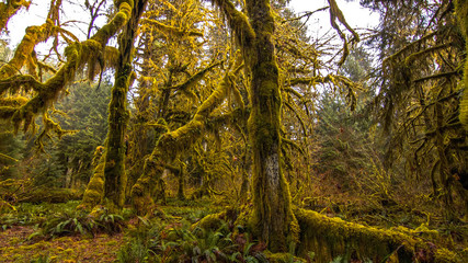 nature of the worlds best places