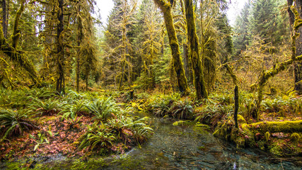 nature of the worlds best places