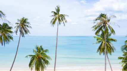 Obraz na płótnie Canvas Aerial view palm beach in tropical idyllic paradise island.