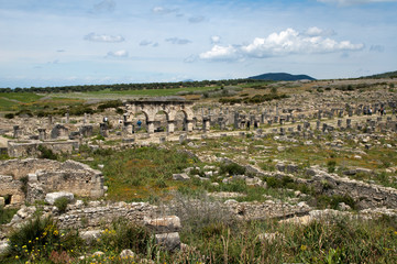 Fototapeta na wymiar Volubilis Morocco, panorama of roman ruins including Decumanus Maximus avenue