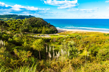 Fototapeta na wymiar A view of the seascape, Coromandel, New Zealand.