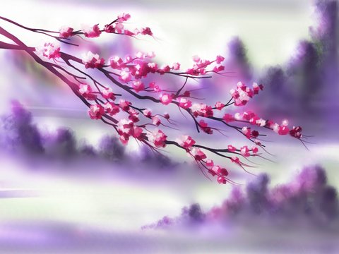 Sakura Zweig