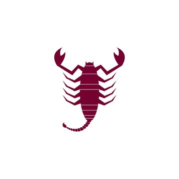 Scorpion logo template icon design