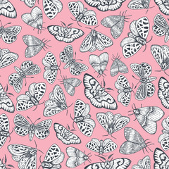 Butterflies seamless pattern. Various moth background. Pink wallpaper. Vector illustration