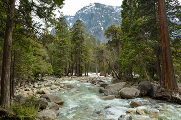 River in Yosemite National Park, California, USA