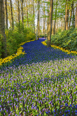Keukenhof, Lisse, Netherlands - 18 April 2019: The view of different corners of the Keukenhof park, the worlds largest flower and tulip garden park in Holland. One of the most popular destination