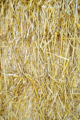 hay stack as background