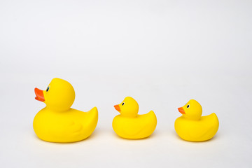 Yellow rubber duck isolated on white background