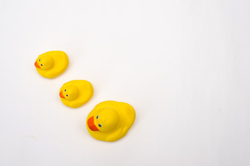 Yellow rubber duck isolated on white background