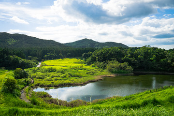 高台から見下ろした風景