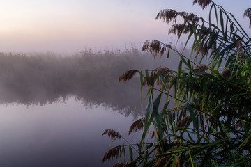 Narwiański Park Narodowy. Poranek nad Narwią © podlaski49