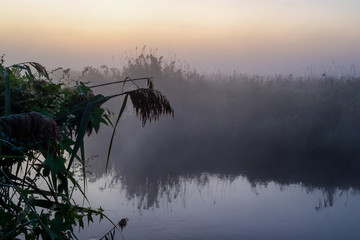 Narwiański Park Narodowy. Poranek nad Narwią © podlaski49